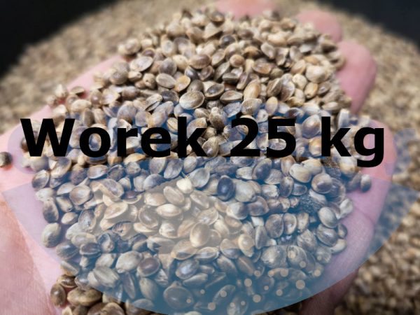 konopie 25 worek